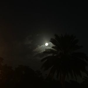 Meet your Posher, Lundon